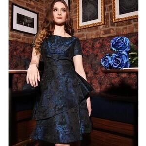 Shani Dress Jacquard Short Sleeve Asymmetric Tiered Fit & Flare Mini Blue NWT 16